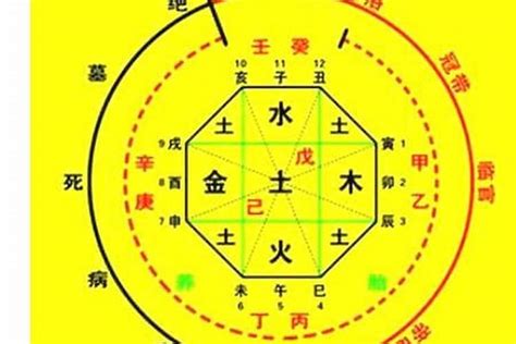 八字代表|生辰八字算命、五行喜用神查询（免费测算）